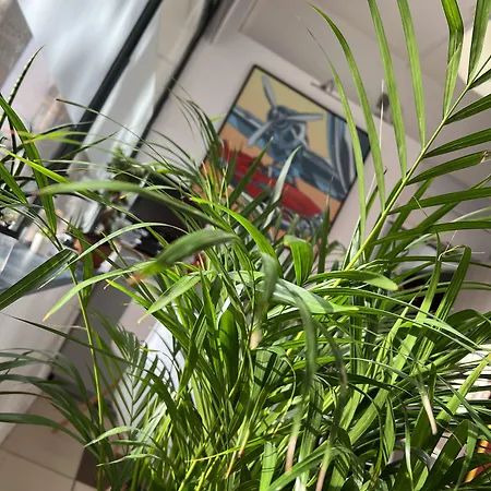 מלון Vieille Tour